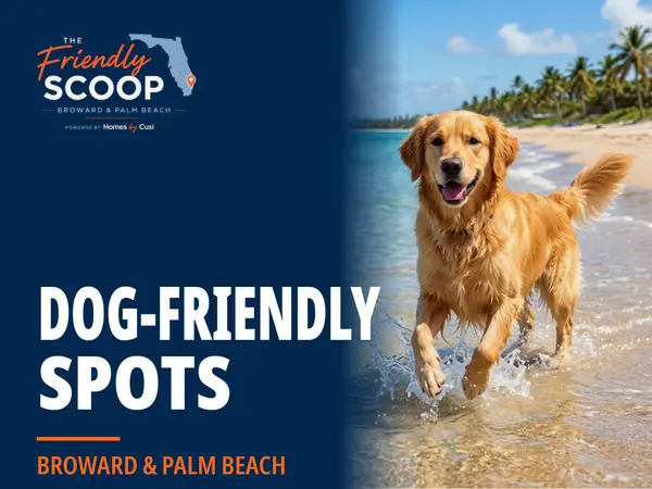 The Friendly Scoop dog-friendly spots cover: a navy panel holding the logo, the white headline DOG-FRIENDLY SPOTS and the orange line BROWARD & PALM BEACH, beside a photo of a golden retriever running through shallow water on a palm-lined South Florida beach