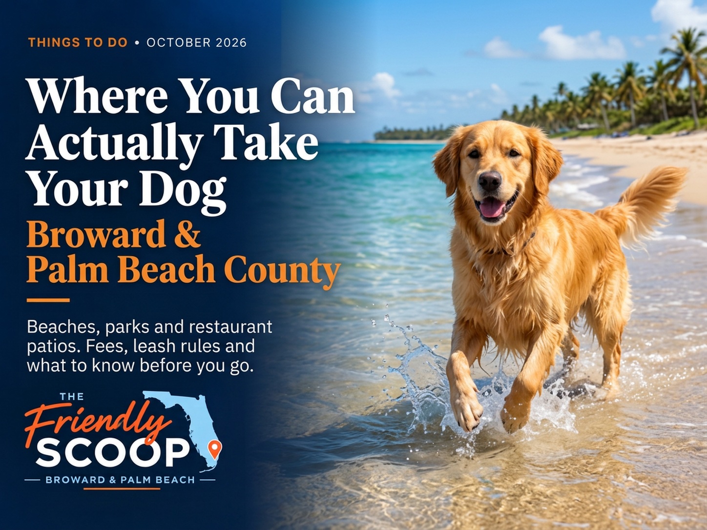 A golden retriever enjoying the surf on a palm-lined South Florida beach, with The Friendly Scoop dog-friendly guide branding